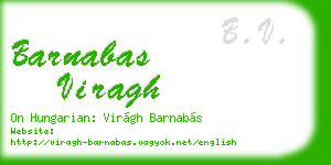 barnabas viragh business card